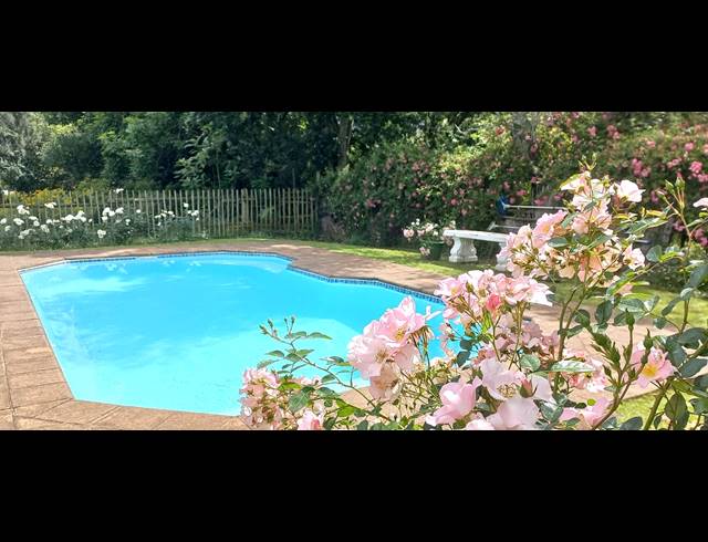 M² GUESTHOUSE FOR SALE IN STUTTERHEIM